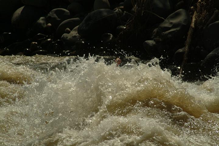 CR038.JPG
