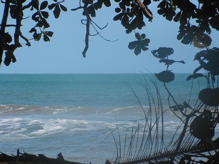CR137.JPG