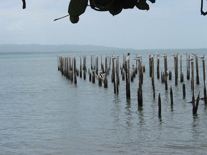 CR141.JPG