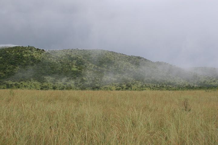 SA009.JPG