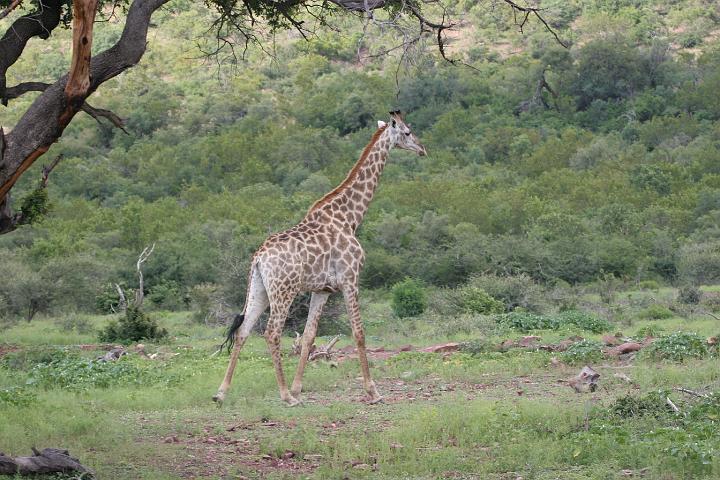 SA069.JPG