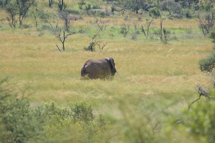 SA078.JPG