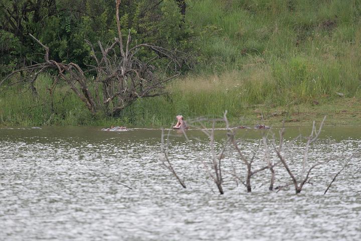 SA094.JPG
