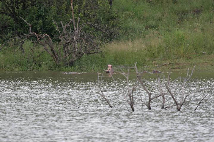 SA095.JPG