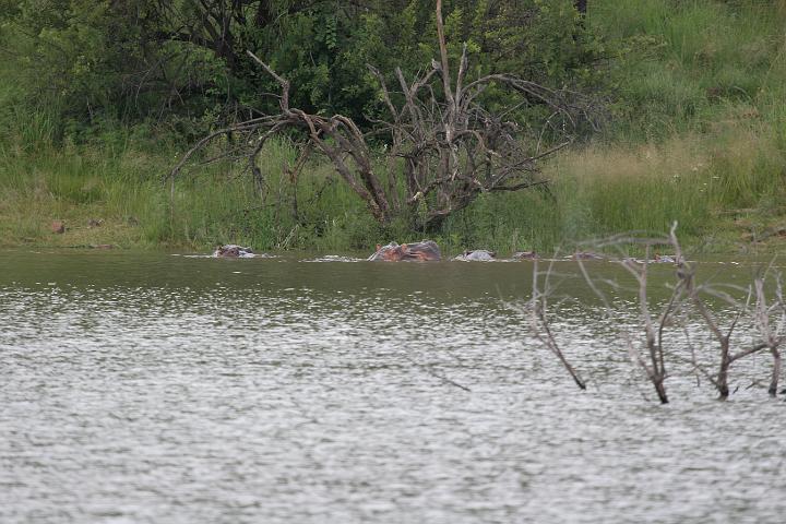 SA097.JPG