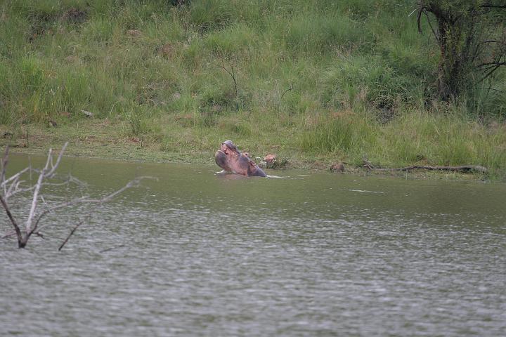 SA099.JPG