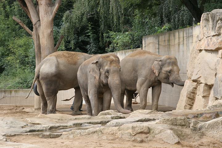 ZOO008.JPG