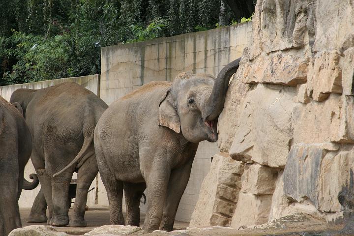 ZOO009.JPG