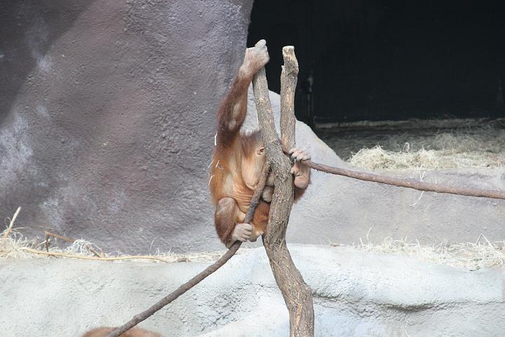 ZOO021.JPG
