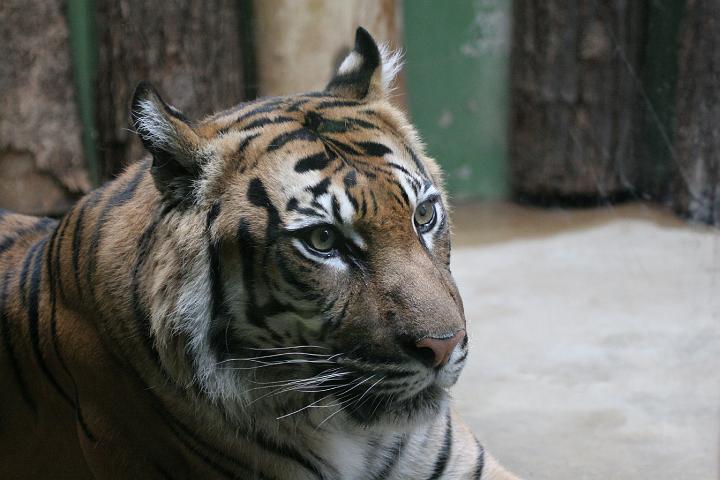 ZOO029.JPG
