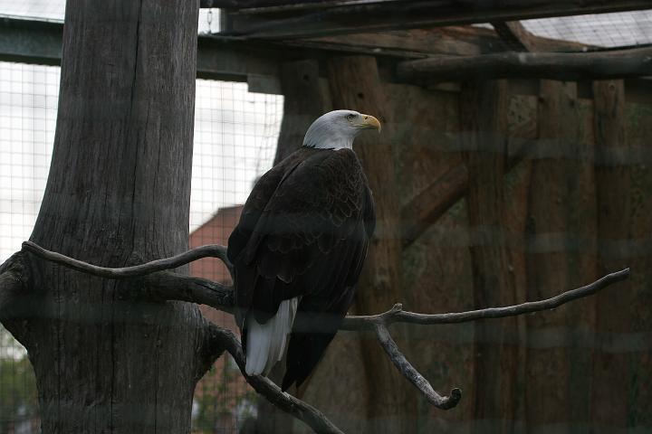 ZOO036.JPG
