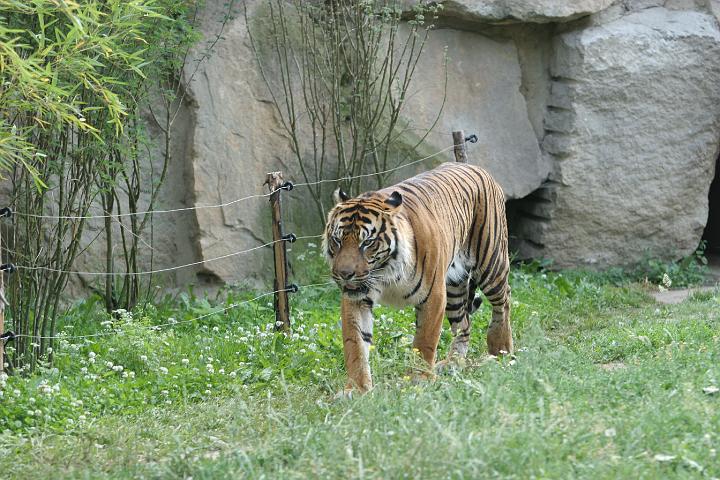 ZOO069.JPG