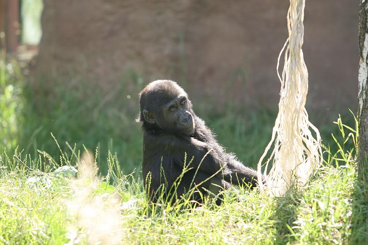 ZOO082.JPG