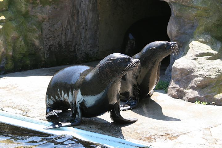 ZOO087.JPG