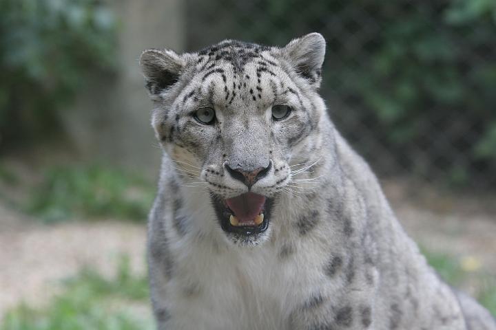ZOO094.JPG